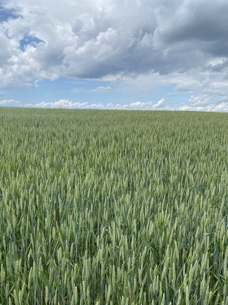 DF8FF89E-F828-4473-9155-C21BC0364FAA_1_105_c